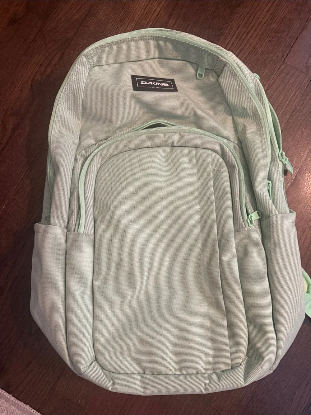 Dakine Backpack in Mint Green